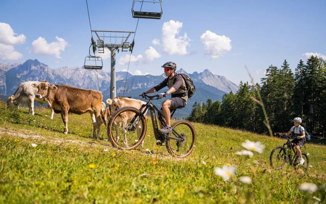 Ein Fahrer rollt über eine blühende Almwiese an weidenden Kühen vorbei, darüber die Sessel einer Bergbahn, dahinter Kalkberge.