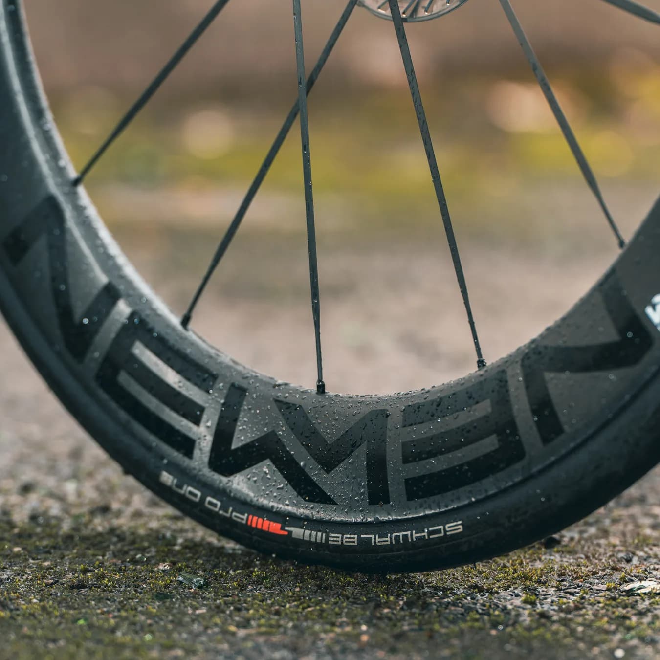 Das Laufrad mit der hohen Newmen-Carbonfelge auf moosigem Asphalt, darüber die Speichen.