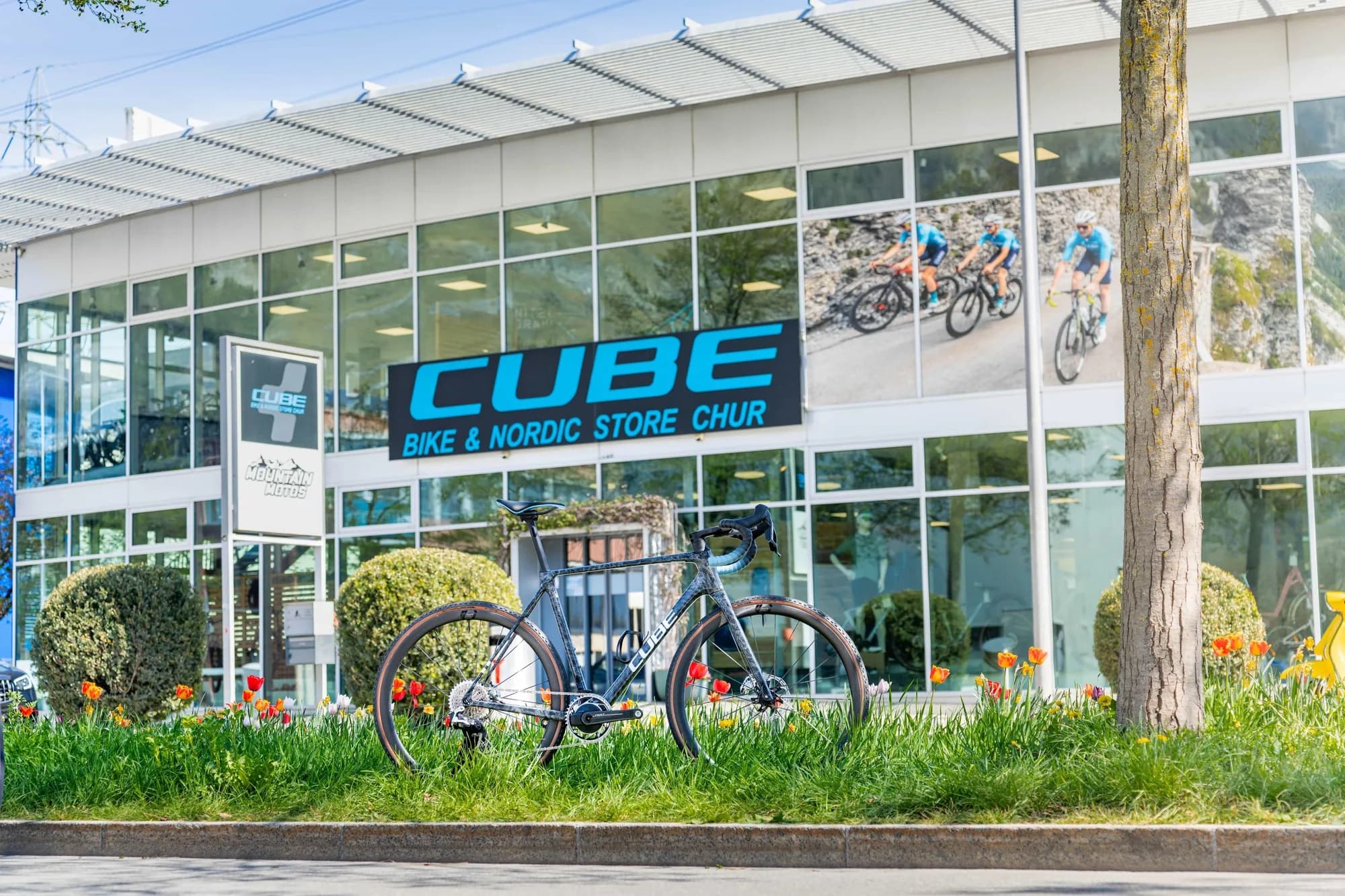 Die verglaste Fassade des CUBE Bike und Nordic Store Chur mit Leuchtschild und einem Rennrad-Banner am Vordach, davor ein graues CUBE Rennrad in einem Tulpenbeet.