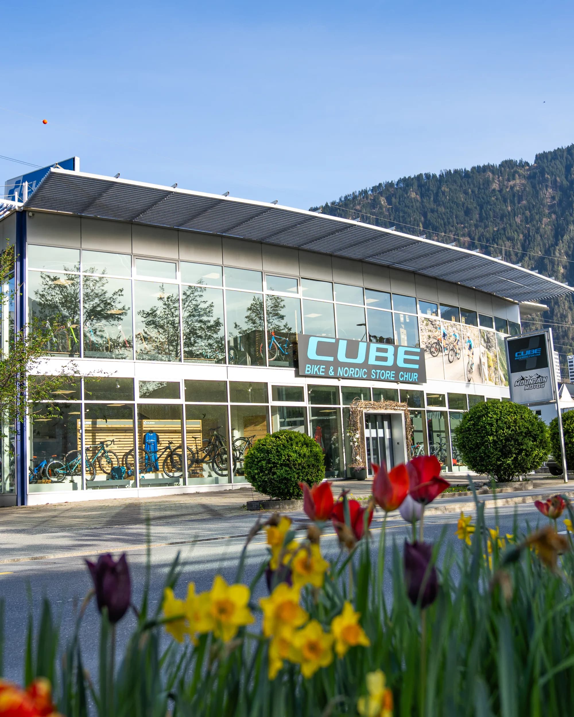 Der CUBE Store Chur an der Rossbodenstrasse in Chur: der Glasbau mit dem Schriftzug CUBE Bike & Nordic Store Chur, im Vordergrund blühende Tulpen und Narzissen, dahinter der bewaldete Hang.