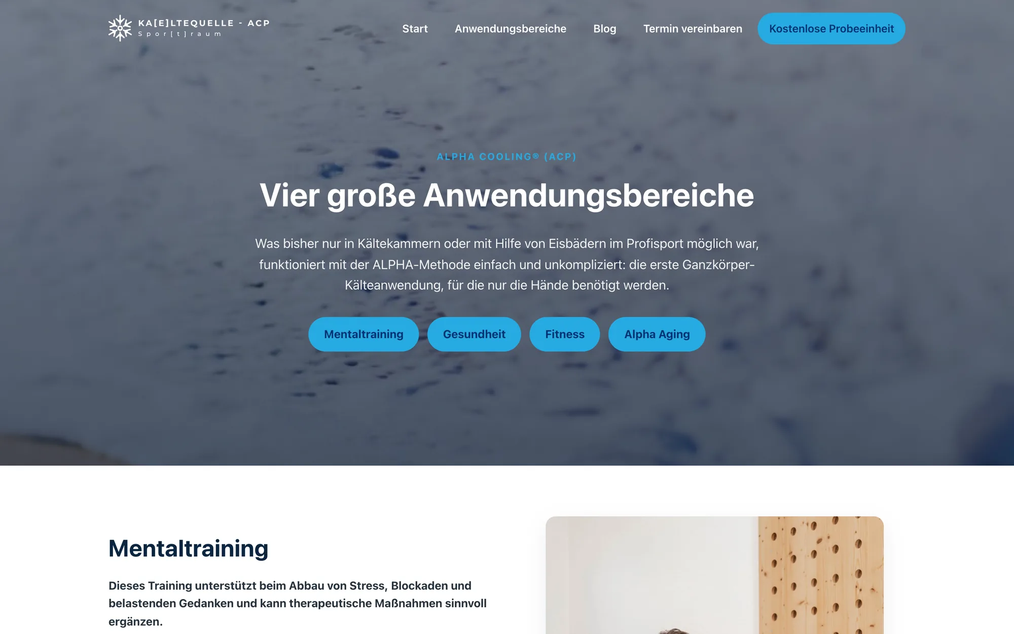 Die Seite Anwendungsbereiche mit der Zeile Vier große Anwendungsbereiche und vier hellblauen Schaltflächen für Mentaltraining, Gesundheit, Fitness und Alpha Aging.