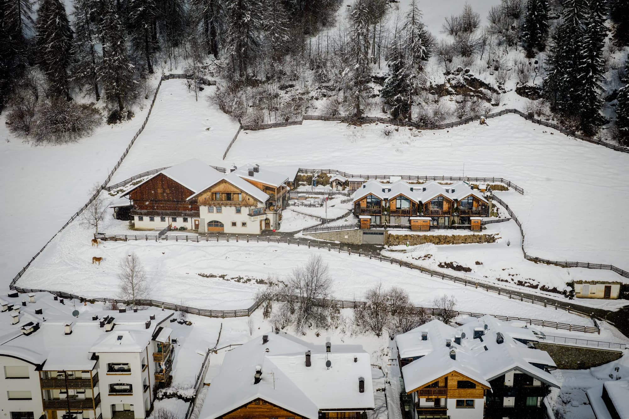 Der Stabinger Hof aus größerer Höhe im Winter, oben der verschneite Nadelwald, unten die Dächer der Nachbarhäuser von Sexten.