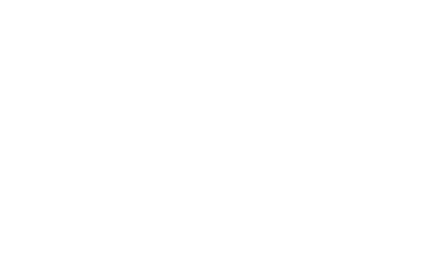 EC-Reinigung