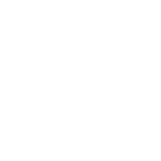 Mr. Bike
