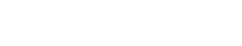 MYVELO