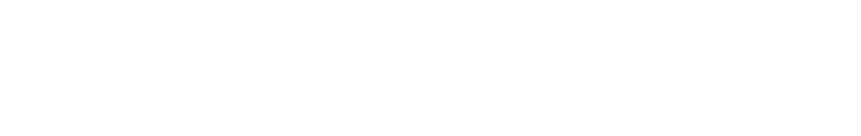 Rental Bikes