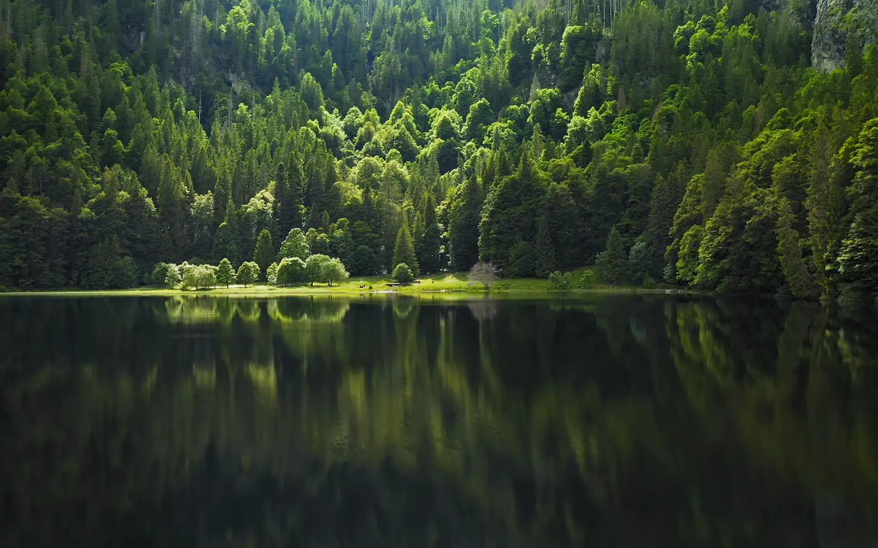 Der Imagefilm für Caesaro Med: ein stiller See im Wald, Menschen beim Laufen und Dehnen im Park, Hagebutten und Preiselbeeren in Nahaufnahme, ein Apotheker beim Abfüllen von Kapseln, eine Beratung am Tresen und zuletzt die Produktserie auf einem Brett über einem Bachlauf.