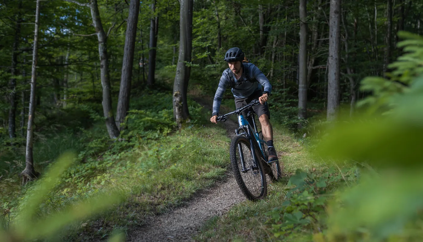 Mr. Bike: Ein Mountainbiker fährt einen Waldtrail hinunter, das Startbild von mr-bike.de.