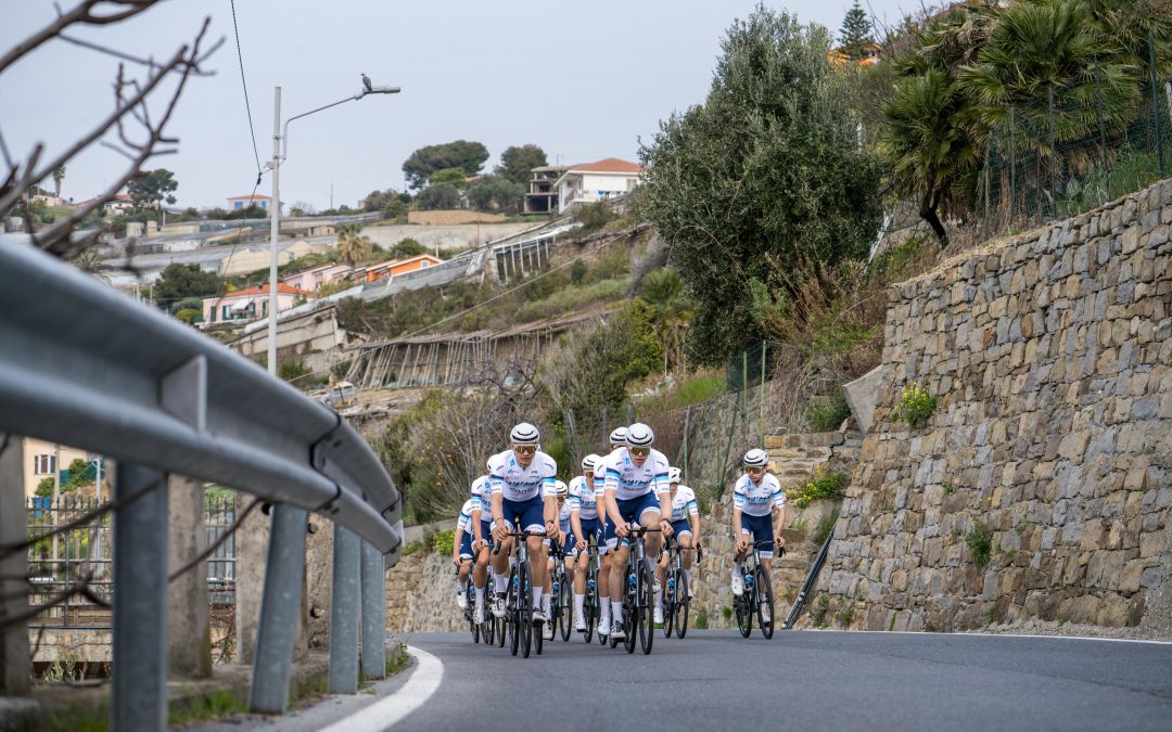 myvelo_rennrad_sanremo_web©invisions.at241 Eine Gruppe von Radfahrern in passenden Uniformen fährt auf einer kurvenreichen Straße bergauf, die von einer Steinmauer und einer Leitplanke begrenzt wird, während im Hintergrund Häuser und Grünflächen zu sehen sind.