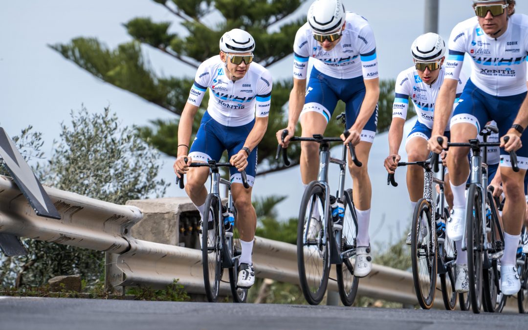 myvelo_rennrad_sanremo_web©invisions.at261 Vier Radfahrer in passenden blau-weißen Uniformen und Helmen fahren eng beieinander auf einer Straße, im Hintergrund sind Grünflächen und eine Metallschutzplanke zu sehen.