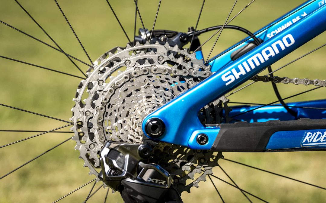 Nahaufnahme der hinteren Schaltkassette und des Umwerfers eines blauen Shimano-Fahrrads, mit deutlich sichtbaren Speichen und Kette, vor einem unscharfen grasbewachsenen Hintergrund.
