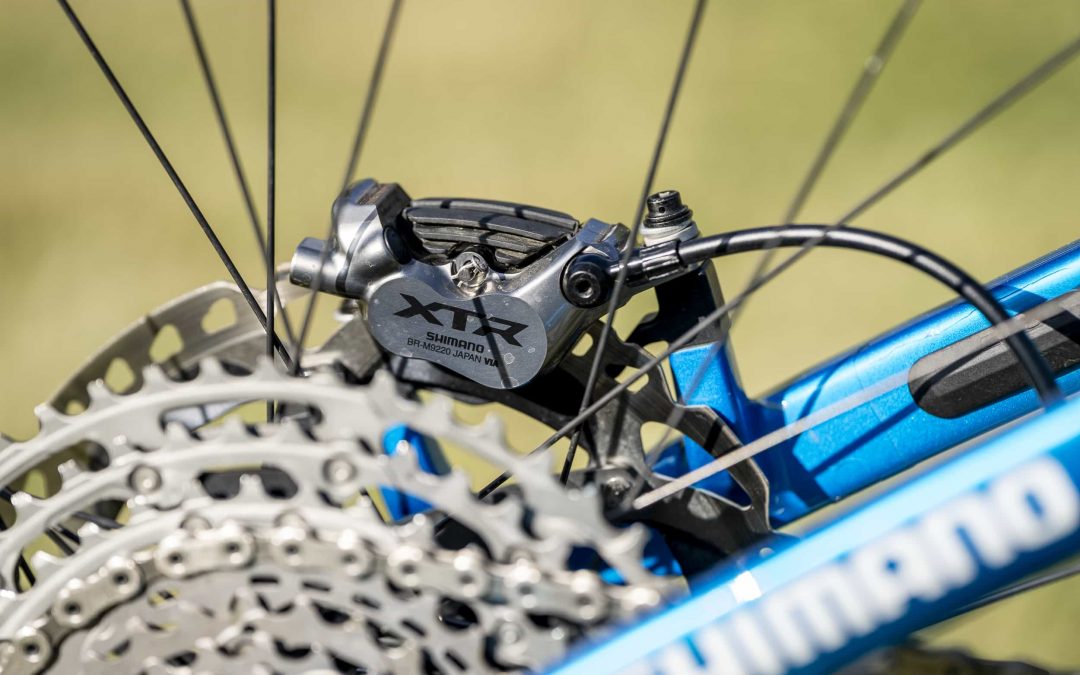 Nahaufnahme eines Shimano XTR-Scheibenbremssattels und einer Schaltkassette am Hinterrad eines blauen Fahrrads, wobei schwarze Speichen und ein Teil des Shimano-Logos sichtbar sind.