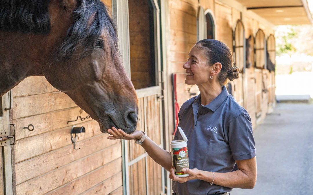 Eine Frau in einem blauen Poloshirt füttert lächelnd ein braunes Pferd vor einem Holzstall und hält ein Getränk mit einem Strohhalm in der anderen Hand.