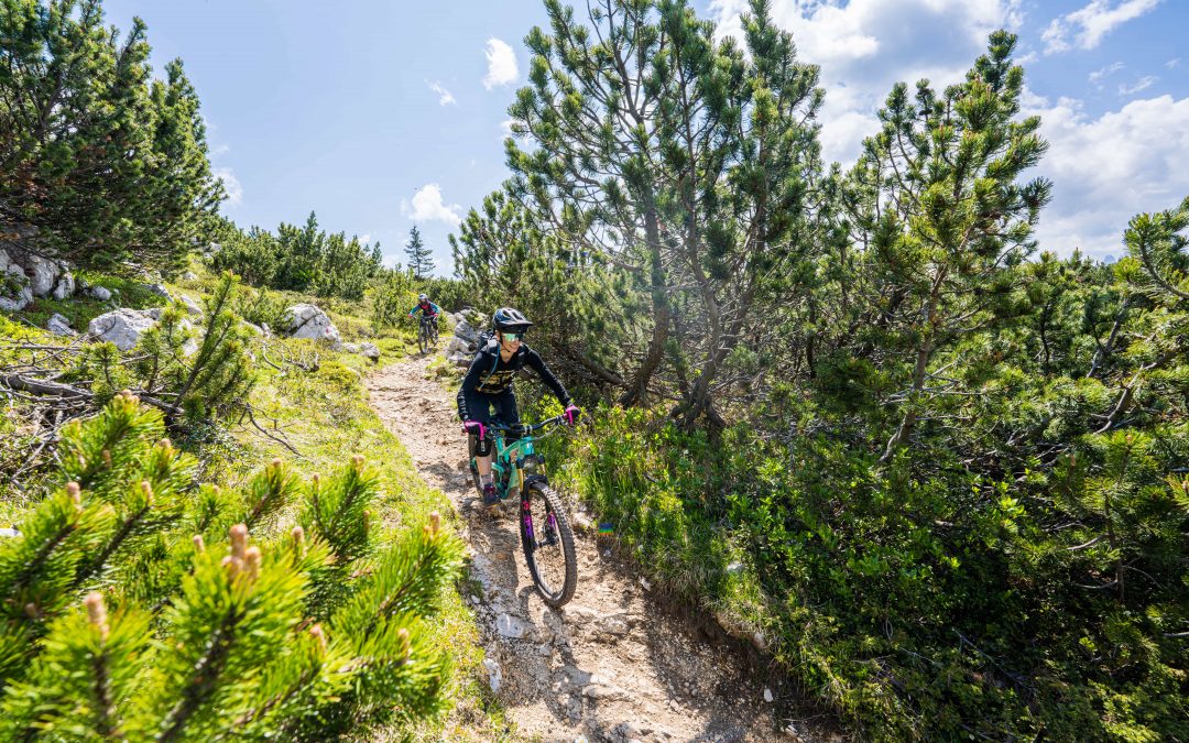 Eine Person, die einen Helm und eine Sonnenbrille trägt, fährt mit einem Mountainbike auf einem schmalen unbefestigten Weg, der von grünen Kiefern umgeben ist, unter einem teilweise bewölkten Himmel. Ein anderer Radfahrer ist weiter oben auf dem Weg zu sehen.