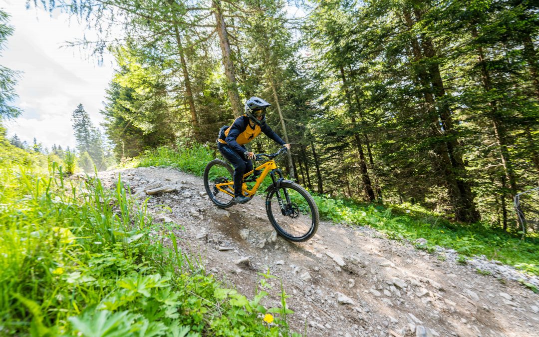 Eine Person, die einen Helm und eine Schutzausrüstung trägt, fährt an einem sonnigen Tag mit einem gelben Mountainbike einen felsigen Weg durch einen üppigen, grünen Wald hinunter.