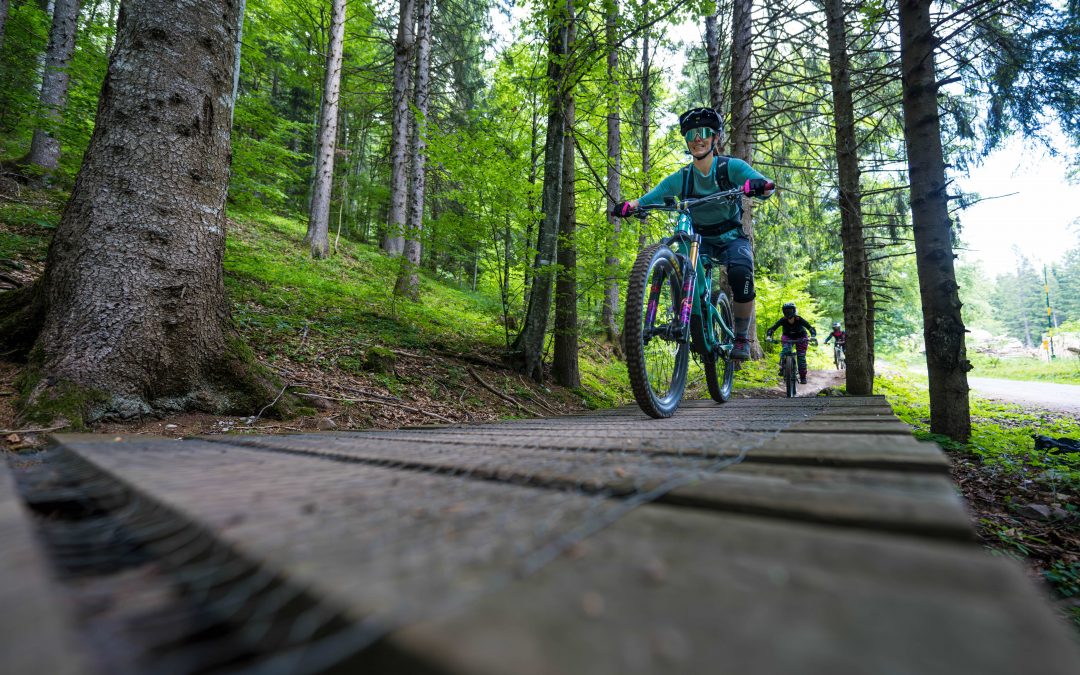 Zwei Radfahrer mit Helmen fahren mit ihren Mountainbikes auf einem hölzernen Weg durch einen Wald mit hohen grünen Bäumen und Sonnenlicht, das durch die Blätter fällt.