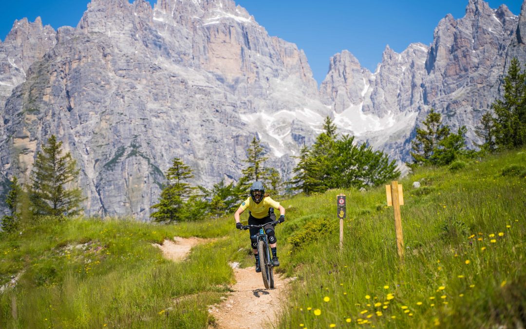 Ein Mountainbiker fährt auf einem unbefestigten Weg durch grasbewachsenes Gelände mit Wildblumen, umgeben von hohen Kiefern und schroffen, schneebedeckten Bergen unter einem klaren blauen Himmel.