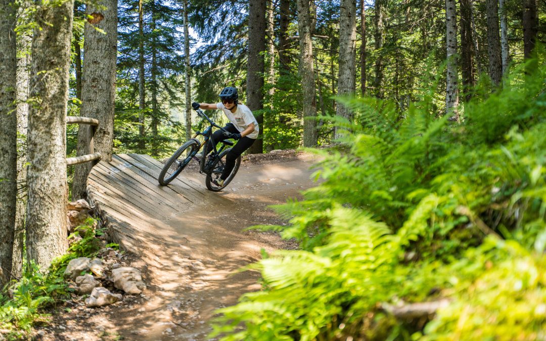 Eine Person, die einen Helm trägt, fährt mit ihrem Mountainbike auf einer hölzernen Rampe durch einen sonnigen, bewaldeten Weg, der von hohen Bäumen und grünen Farnen umgeben ist.