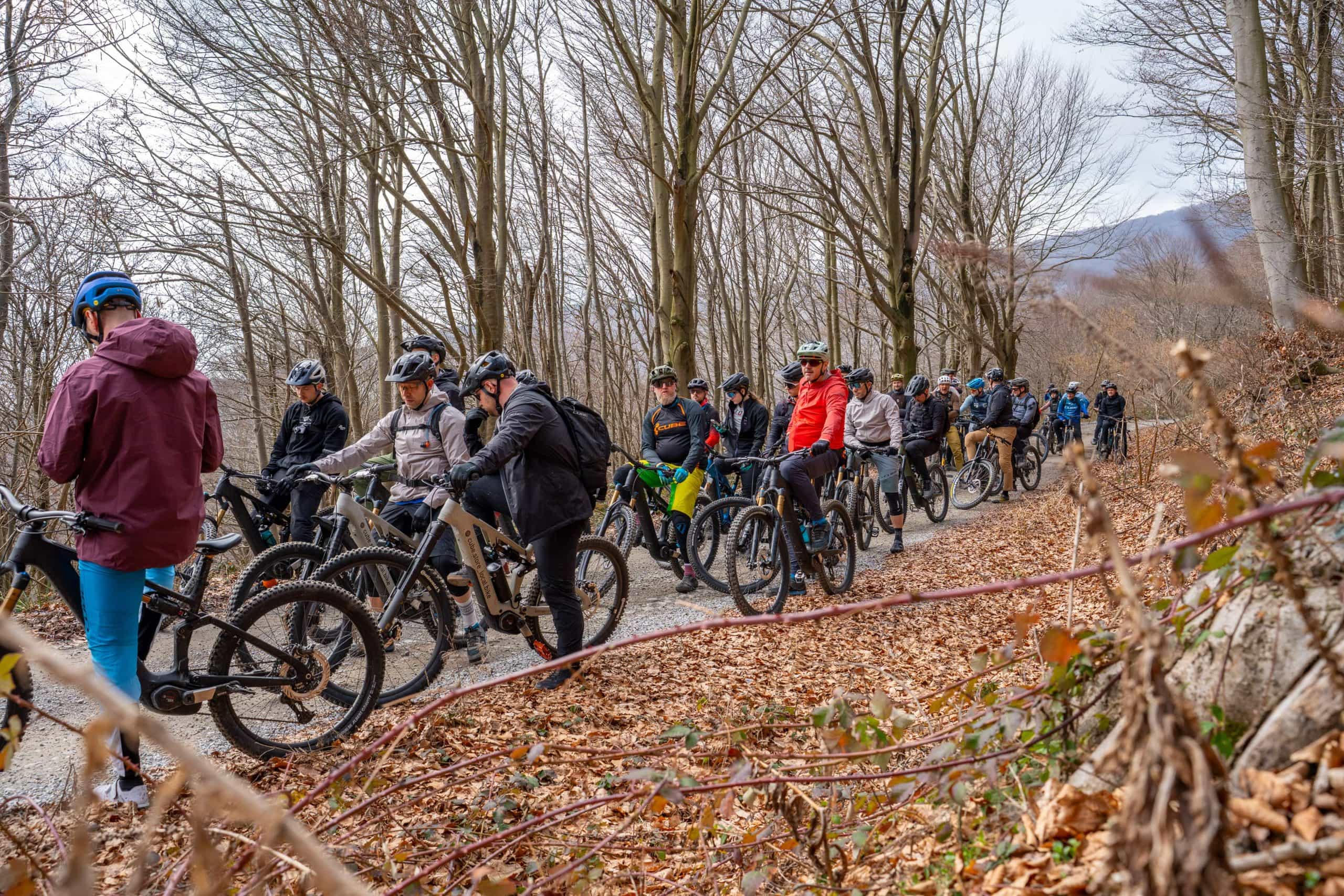 Eine Gruppe von Radfahrern mit Helmen und Jacken steht mit ihren Fahrrädern auf einem Waldweg, der von hohen, blattlosen Bäumen gesäumt ist, deren Herbstlaub den Boden bedeckt.
